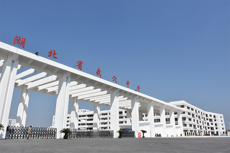 森(sēn)泰建築公司建設地(dì)表建築《武穴中學》